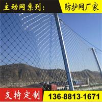 RXI100被动网四川RXI-100被动网厂家
