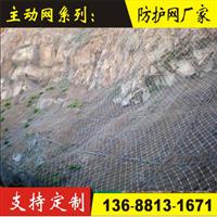 四川主动网，GPS2主动网厂家