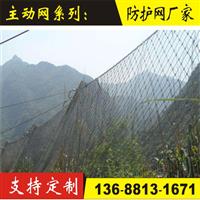 RXI150被动网厂家，四川被动网安装报