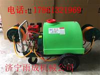 手推式打药车 移动方便 高空喷射