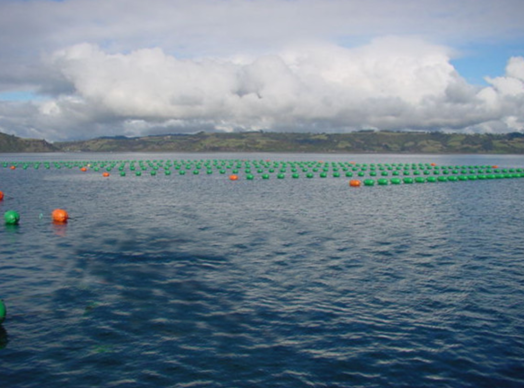 海上浮球定制 30公分水上浮漂定制