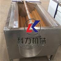 胡萝卜清洗机哪里有  科力机械厂家直销毛