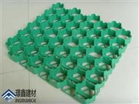 重庆厂家生产_绿化种植花草_植草格