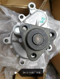 DK12-10水泵